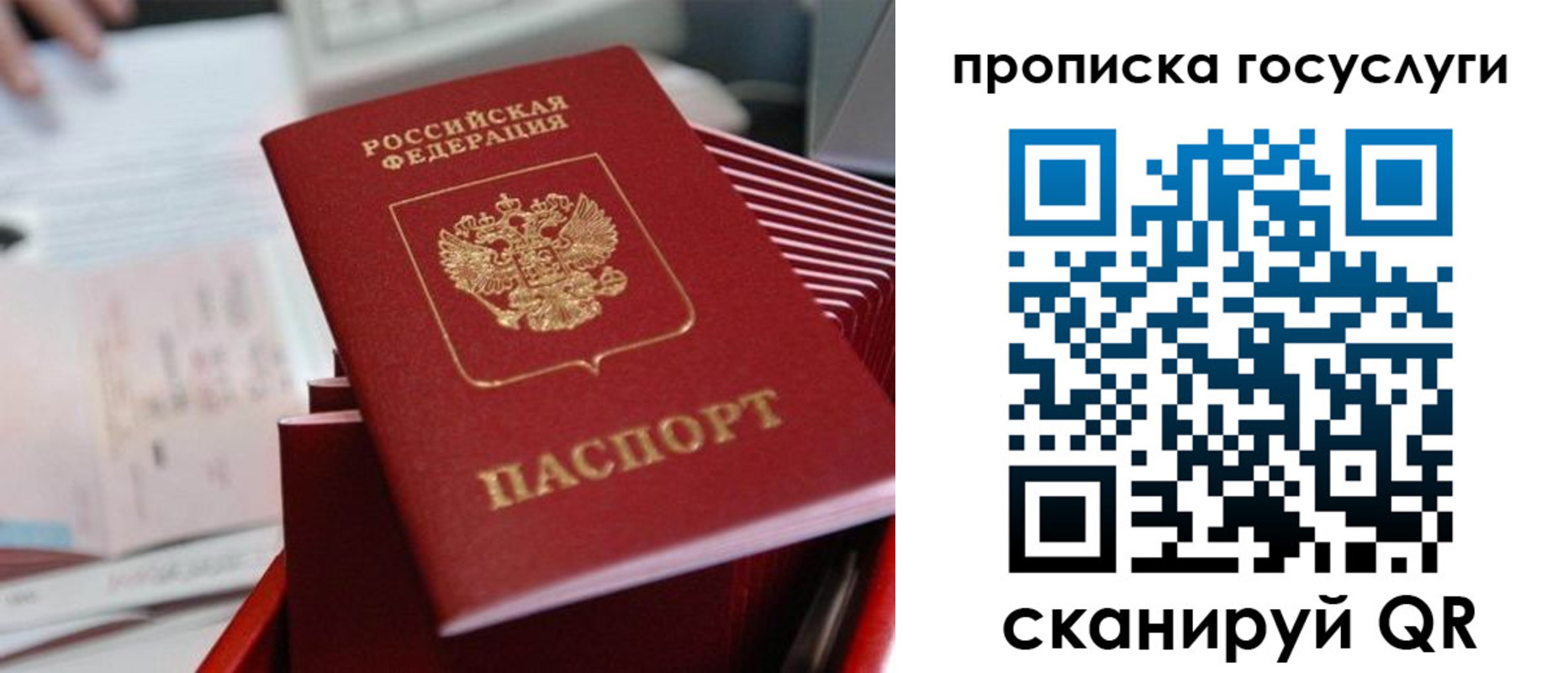 прописка законно в Калтане